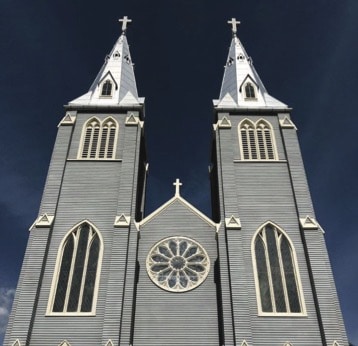 Fall 2019 Newsletter